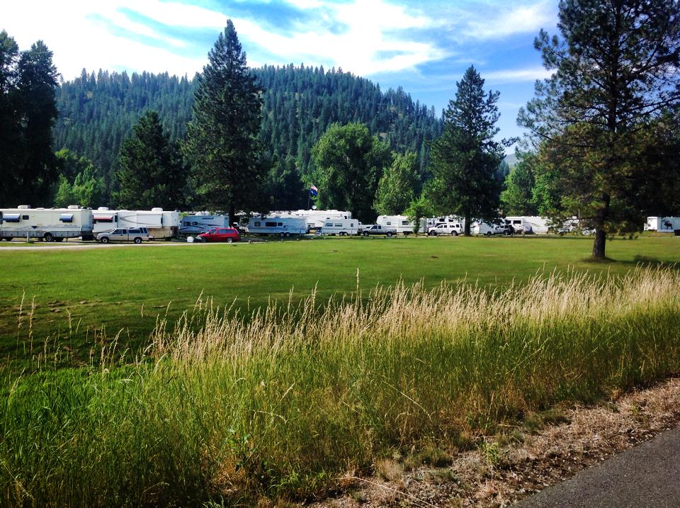 Plush water banks at the CDA River RV, Riverfront Campground